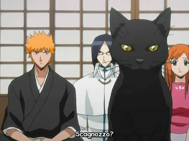 Otaku Gallery  / Anime e Manga / Bleach / Screen Shots / Episodi / 023 - L esecuzione di Rukia, prima del quattordicesimo giorno / 153.jpg